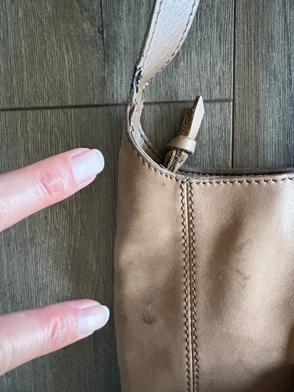 The Sak De Young Hobo Bag with Snakeskin Accent Trim